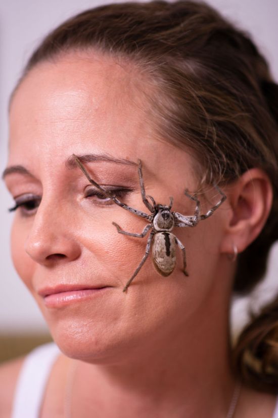 Lisa Van Kula Donovan Is The Steve Irwin Of The Spider World (16 pics)