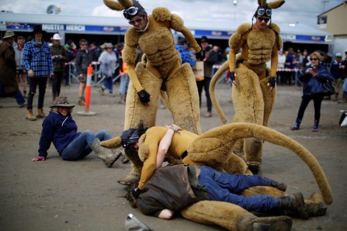 Fun Pictures From Deni Ute Muster (27 pics)