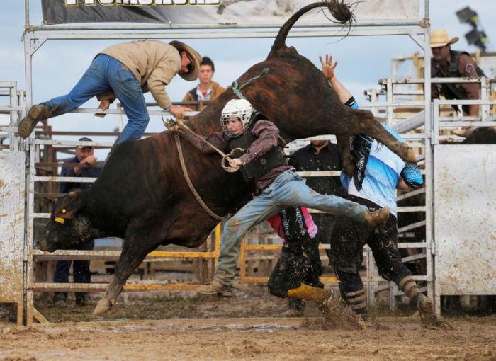 Fun Pictures From Deni Ute Muster (27 pics)