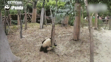 Hilariously Epic Fails To Help Get You Through The Day (26 pics)