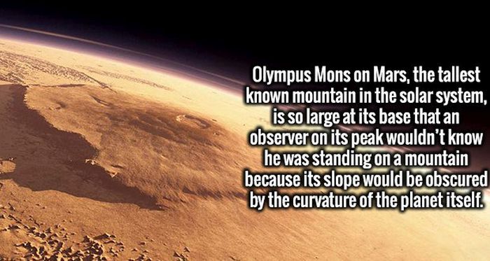 Fascinating Facts That Will Obliterate Your Boredom (19 pics)