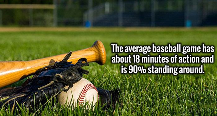 Fascinating Facts That Will Obliterate Your Boredom (19 pics)