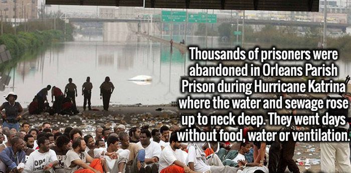 Fascinating Facts That Will Obliterate Your Boredom (19 pics)