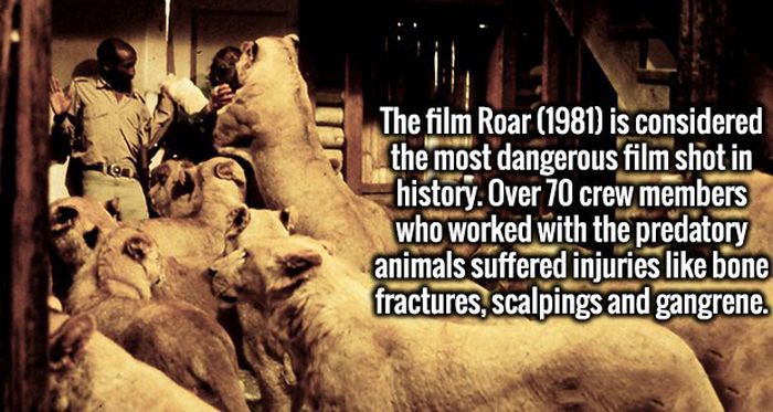 Fascinating Facts That Will Obliterate Your Boredom (19 pics)
