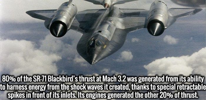 Fascinating Facts That Will Obliterate Your Boredom (19 pics)