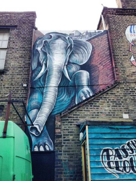 Acid Picdump (122 pics)