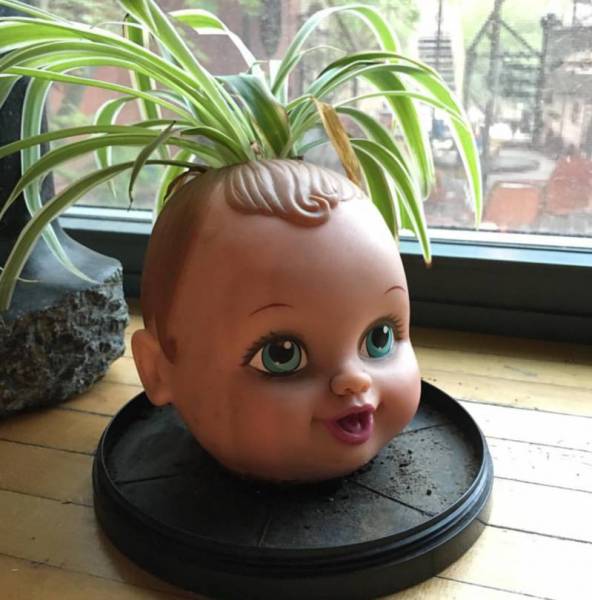Acid Picdump (122 pics)