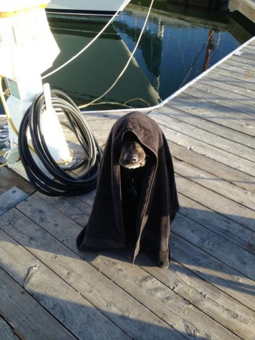 Acid Picdump (122 pics)