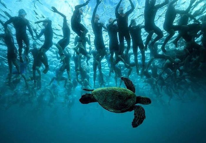 Acid Picdump (122 pics)
