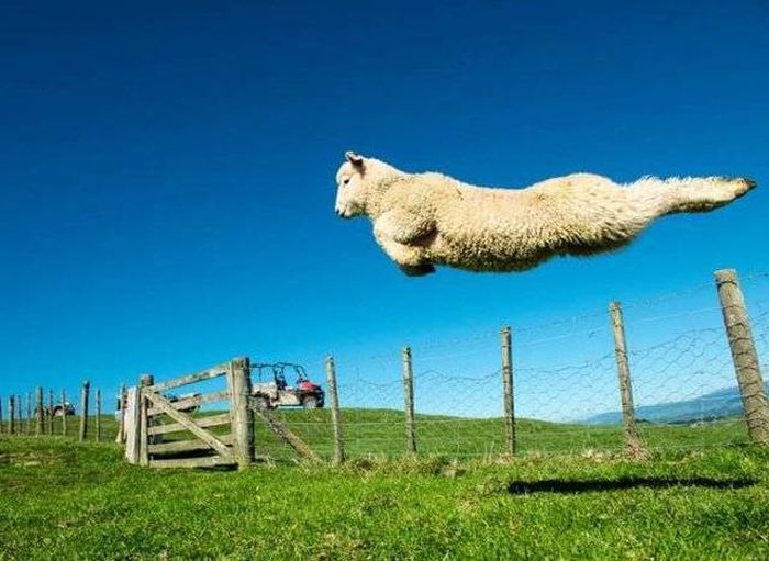 Acid Picdump (122 pics)
