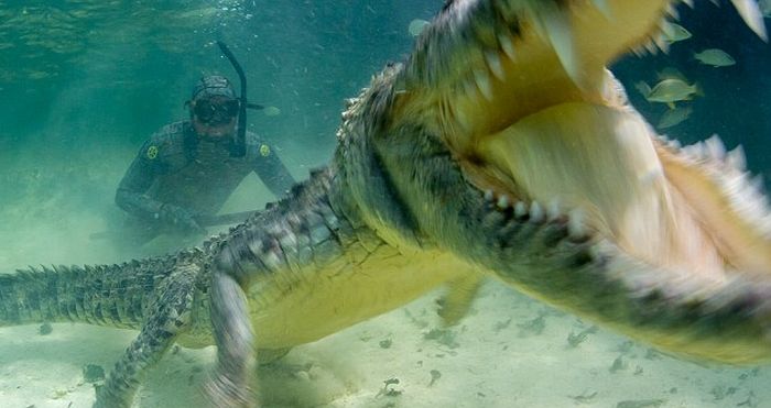 Acid Picdump (122 pics)