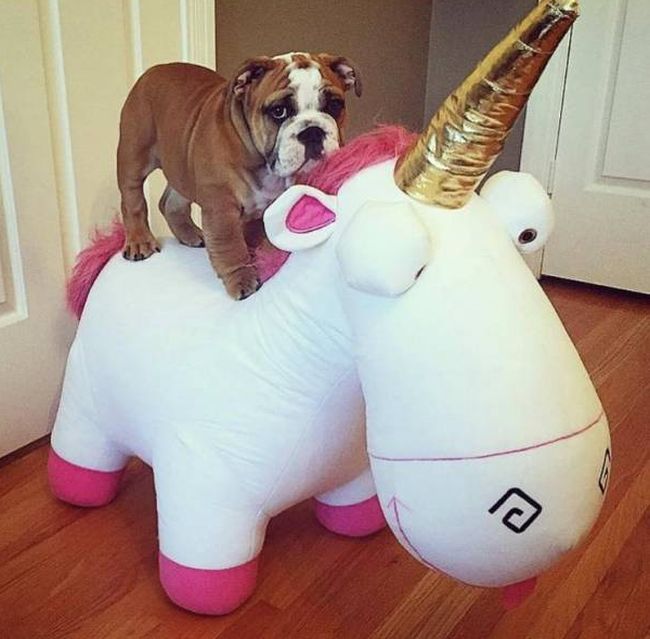 Acid Picdump (122 pics)