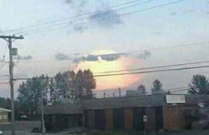 Acid Picdump (122 pics)