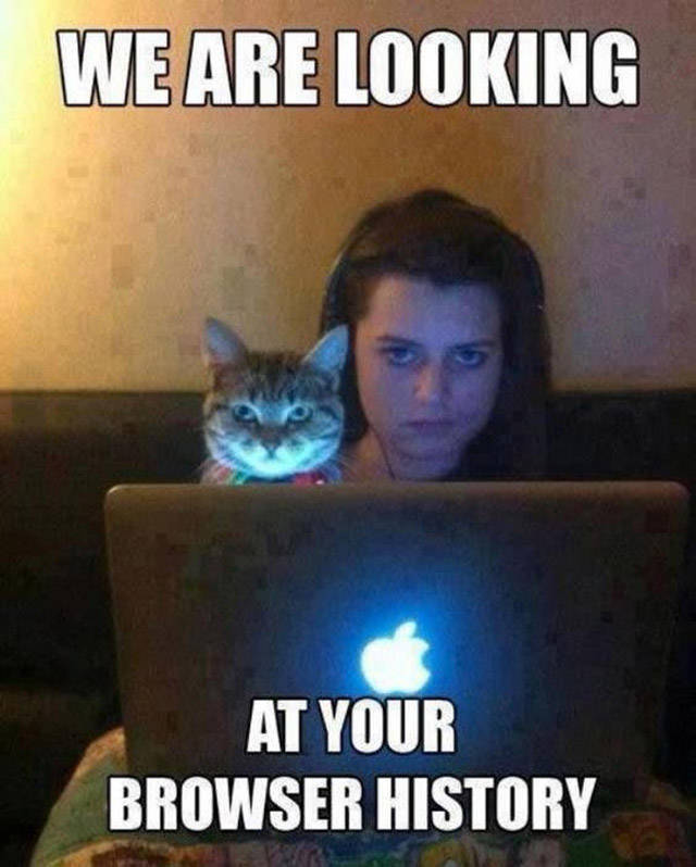 Acid Picdump (122 pics)