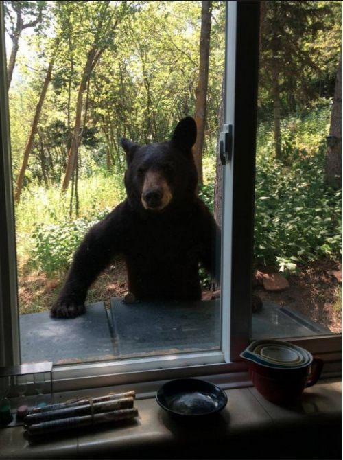 Acid Picdump (122 pics)