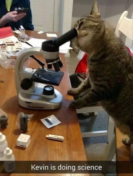 Acid Picdump (122 pics)
