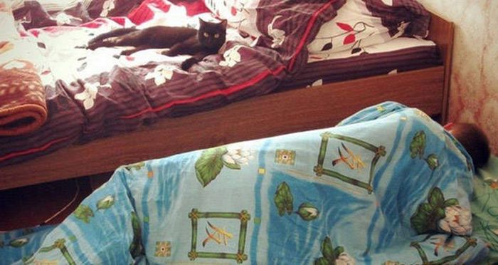 Know Your Role And Don't Forget Who The Boss Is (37 pics)