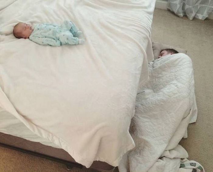 Know Your Role And Don't Forget Who The Boss Is (37 pics)