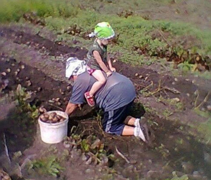 Know Your Role And Don't Forget Who The Boss Is (37 pics)