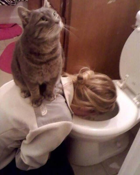 Know Your Role And Don't Forget Who The Boss Is (37 pics)