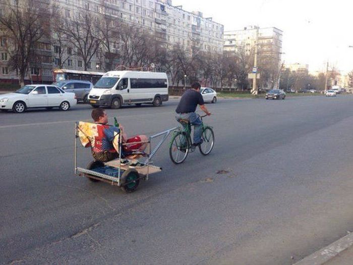 Know Your Role And Don't Forget Who The Boss Is (37 pics)