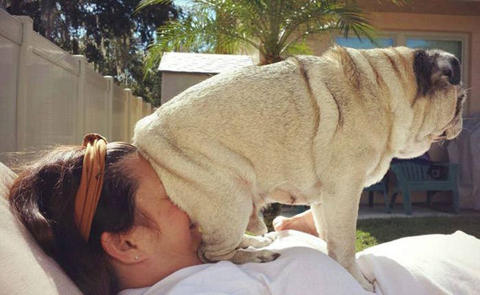 Know Your Role And Don't Forget Who The Boss Is (37 pics)