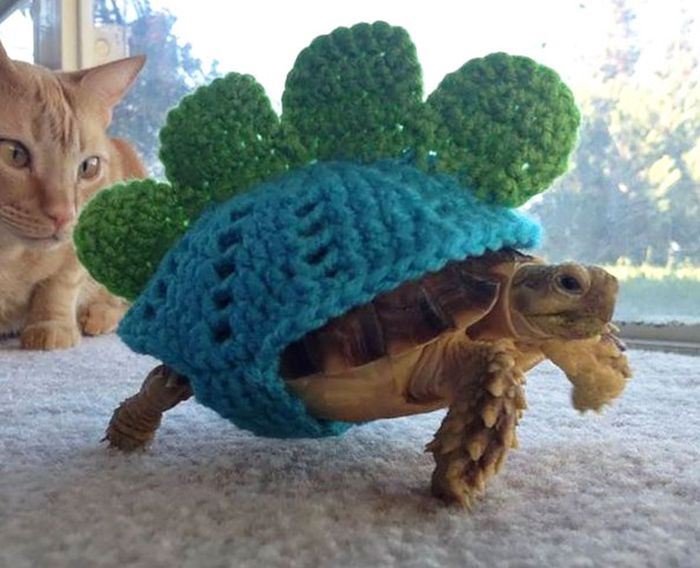 Heartwarming Photos Of Adorable Tiny Animals In Tiny Sweaters (36 pics)
