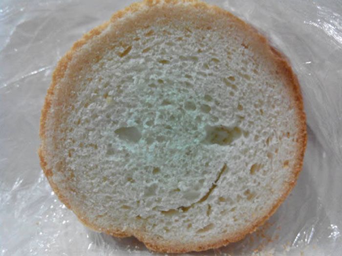 Acid Picdump (98 pics)