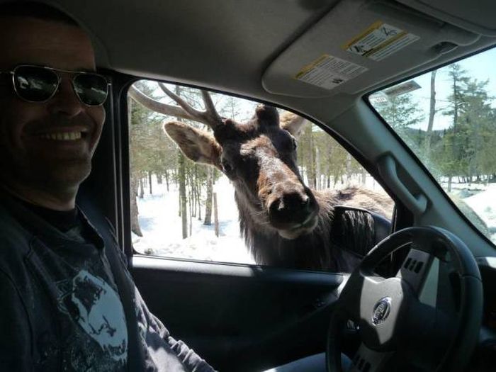 Acid Picdump (98 pics)
