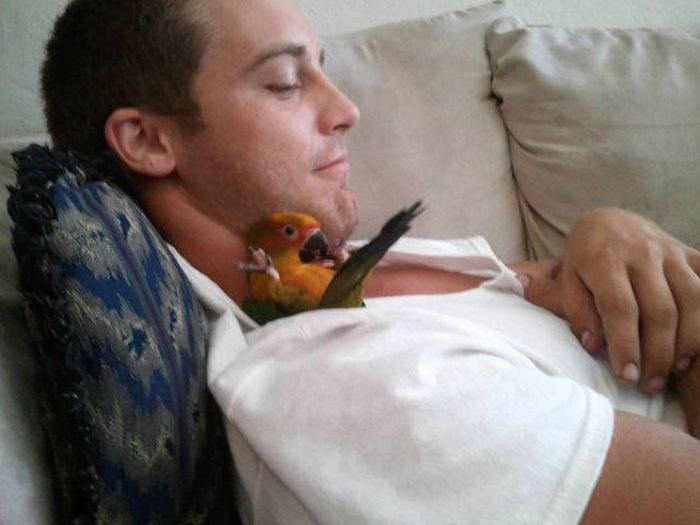 Acid Picdump (98 pics)