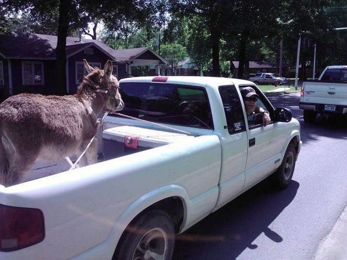 Acid Picdump (98 pics)