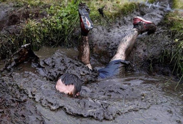 Acid Picdump (98 pics)