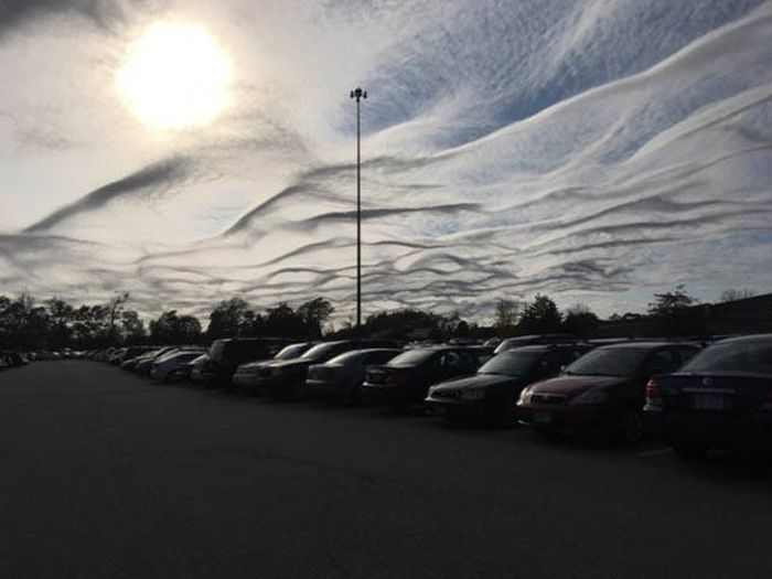 Acid Picdump (98 pics)