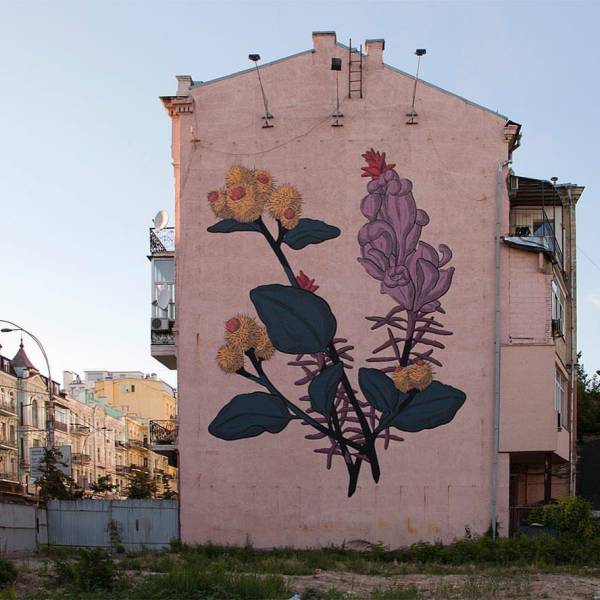 Acid Picdump (98 pics)