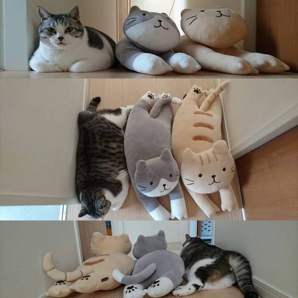 Acid Picdump (98 pics)