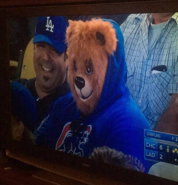 Acid Picdump (98 pics)