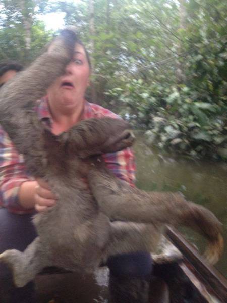 Acid Picdump (98 pics)