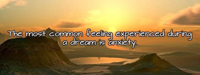 Interesting Facts About Sleep And Dreams That You Need To Know (15 pics)