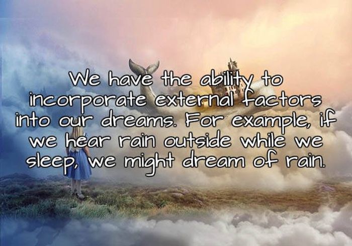 Interesting Facts About Sleep And Dreams That You Need To Know (15 pics)