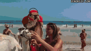 Acid Gifdump, October 24, 2016 (25 gifs)