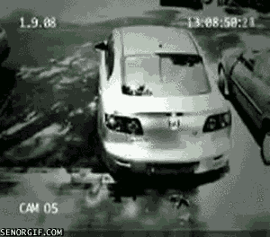 Acid Gifdump, October 24, 2016 (25 gifs)