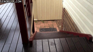 Acid Gifdump, October 24, 2016 (25 gifs)