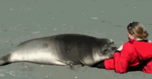 Acid Gifdump, October 24, 2016 (25 gifs)