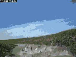 Acid Gifdump, October 24, 2016 (25 gifs)