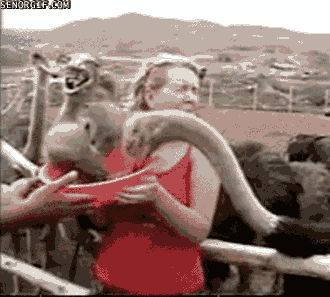 Acid Gifdump, October 24, 2016 (25 gifs)