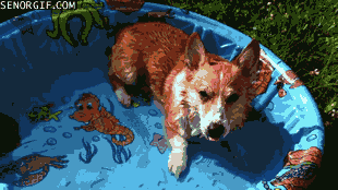 Acid Gifdump, October 24, 2016 (25 gifs)