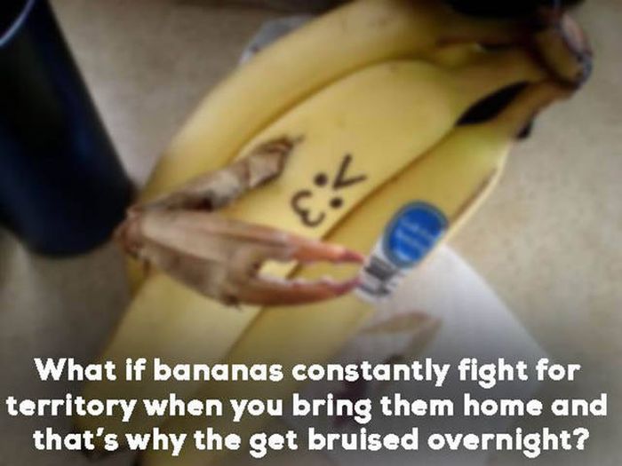 Genius Shower Thoughts That Will Make You See Life In A Whole New Way (22 pics)