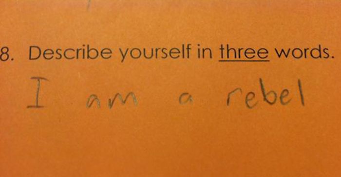 Expert Trolls Who Trolled Like No Troll Has Trolled Before (30 pics)