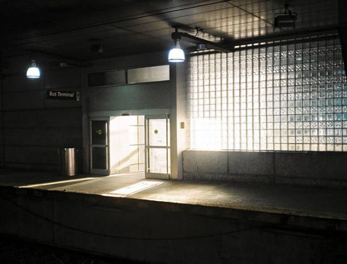 Photographer Tests Her Skills With A One Dollar Camera (8 pics)