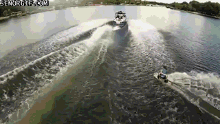 Acid Gifdump, October 26, 2016 (25 gifs)